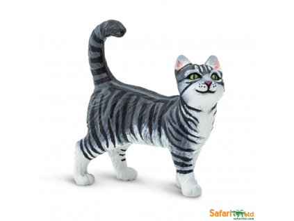 100128 Gray Tabby Cat