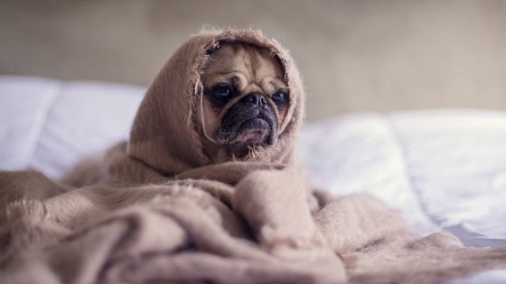 Ako si vybrať ten správny rošt pod matrac? A potrebujete ho vôbec?