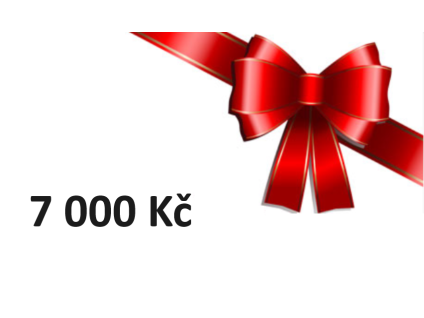 DÁRKOVÝ VOUCHER V HODNOTĚ 7000 Kč