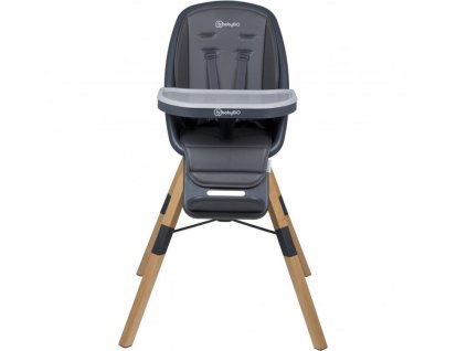 Jídelní židlička BABYGO Carou 360° 2025, grey