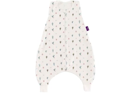 01 Kaktusliebe s0510206