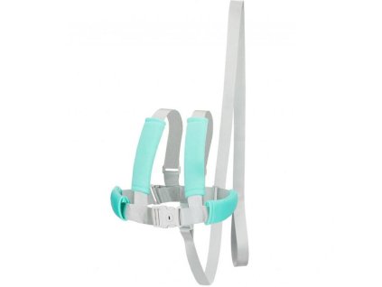 Dětské bezpečnostní kšíry FILLIKID 2026, lightgrey/mint