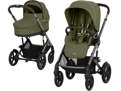 55386 25 02 moss green w 1024 f jpg 3