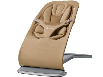 01 detail evlbnccam 1