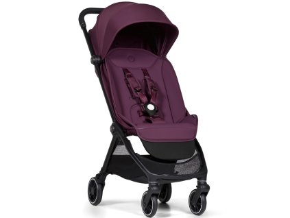 01 italian plum Connect Mini