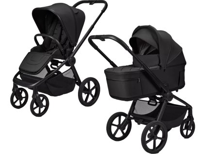 01 onyx Resea Fold MOON 2026