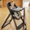 Jídelní židle ERGOBABY Evolve 2v1 2025, dark wood