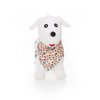 Hopsadlo ZOPA Skippy 2025, dog white