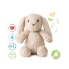 Usínáček CLOUD B s hudbou a světlem 2024, králíček Billy