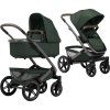 01 forest green Geo5