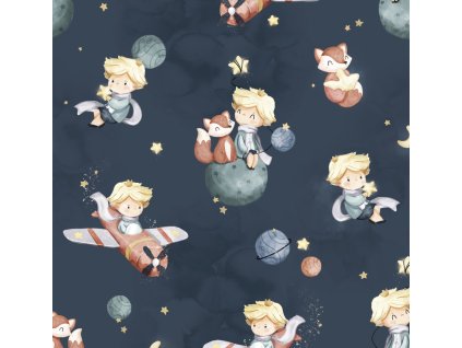 567c046c9795db maly princ na tmave modre promo