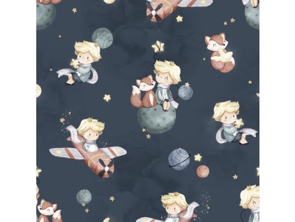 u670e6a313453a 13c2b44c7e1e65d09b3603152447a3be maly princ na tmave modre