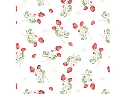 z6629271543f02 jahody promo