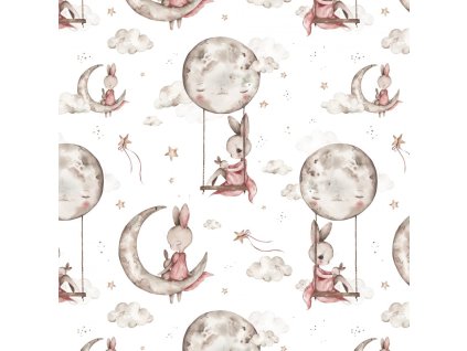 n659b1d1781d7a zajicek a mesic promo