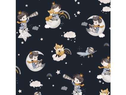 86581be61c0231 maly princ tmava promo