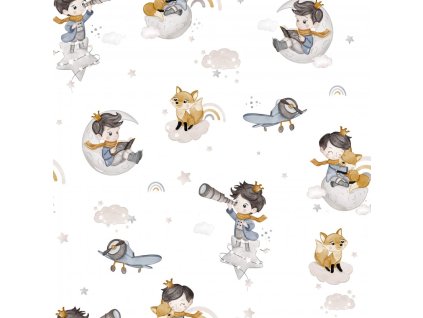 o6580b1c08eda0 maly princ promo 2