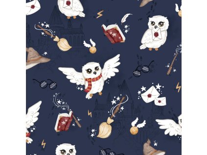 0652442726ac1e kola magie na tm modre