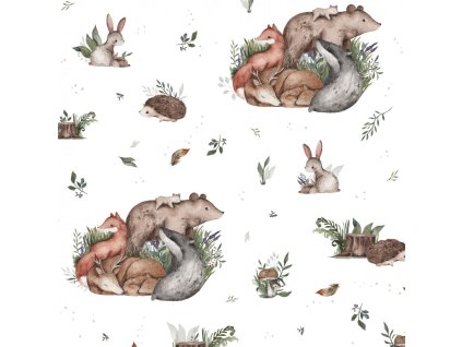 n64d9303799726 zviratka v lese promo