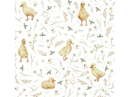 86451d97d60f0a kacenky promo