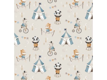 264090680b7d6e cirkus