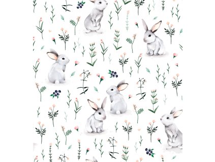 0622ac753aa690 zajicci na louce 1