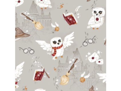 skola kouzel na sede premiova bavlna