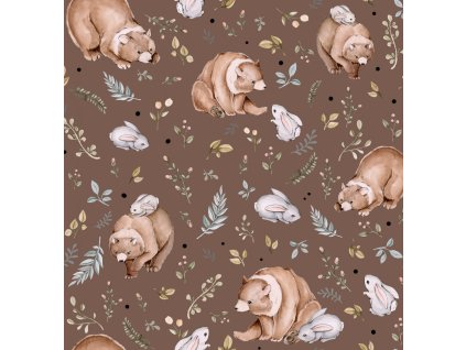 n6299024907eb2 bears on brown pattern clothes
