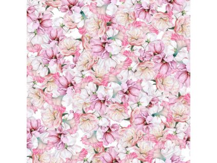 n622ac74837e15 poupata