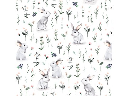 d61fda2a313e35 bunny0