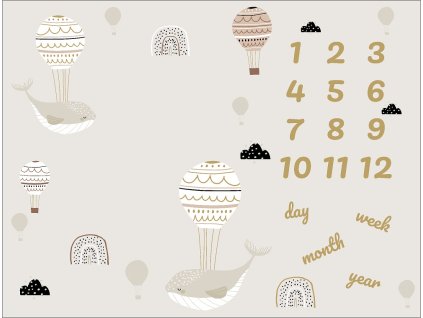 l61f161768ca9f milnikova deka velryby s balony