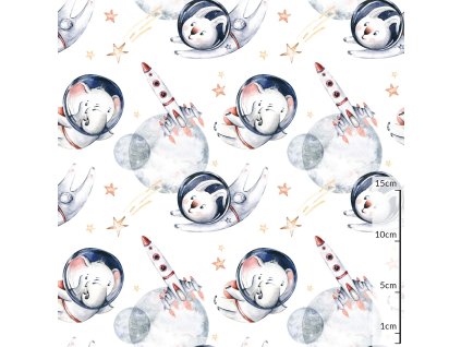 h61f154036f783 zviratka ve vesmiru