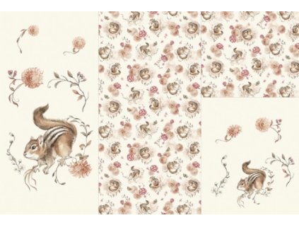 8619d546389b9f veverka 2