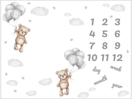 h619150abdf992 foto deka medvidci s balonky