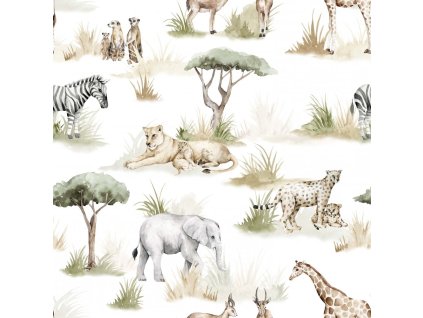 d61845d8bbd7c4 safari