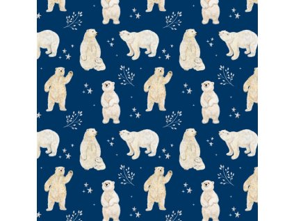 s615d8d9b127c9 ledni medvedi