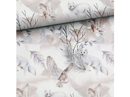 v6140d2763d250 zimni les