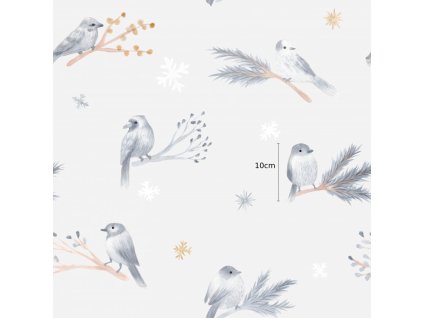 t5f9c7295a8da0 ptacci meritko 1