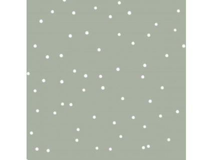 bily puntik vzor
