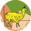 Caly Globes classic animaux illustration 02