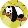 Caly Globes classic animaux illustration 01