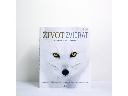 ziv zv