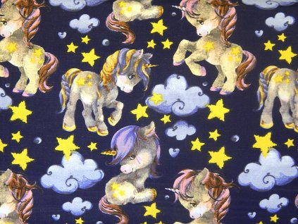 jednorožec na tmavě modré