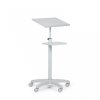 Redetisch Biedrax RP3668s - Farbe grau