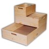 Holzkiste 40 x 30 x 13 cm - Biedrax