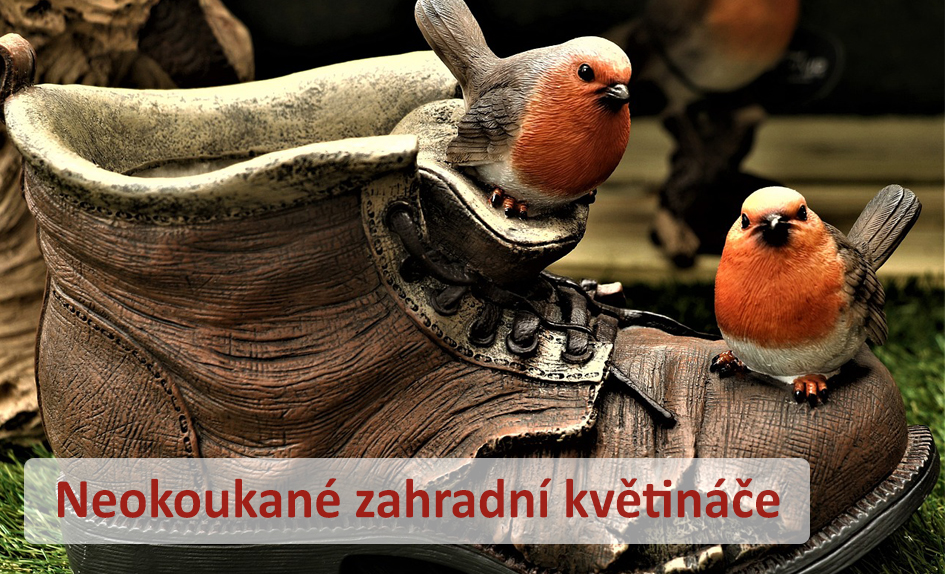 zahradni_kvetinace