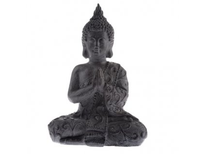 Budha (magnesium) PFY019