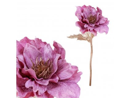 15504 1 sasanka umela kvetina barva fialova ukk271 lila
