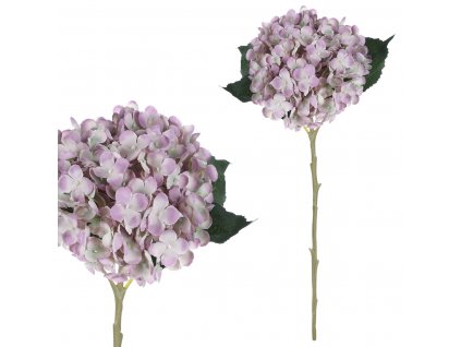 16458 hortenzie na stonku fialovy kvet kn6135 pur