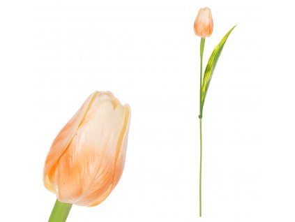 17205 tulipan plastovy v merunkove barve cena za 1ks ve svazku 12ks sg60104 appr2