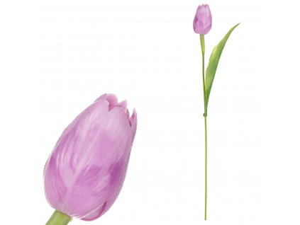 17223 tulipan plastovy ve fialove barve cena za 1ks ve svazku 12ks sg60104 pur2